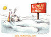 beware of the rabbit