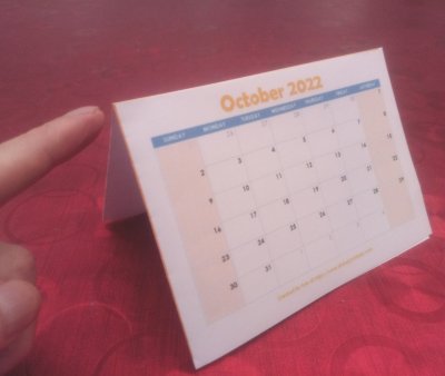 Printed funny desk calendar 3