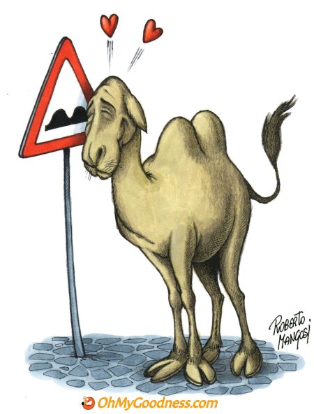 : Have a lovely Hump Day