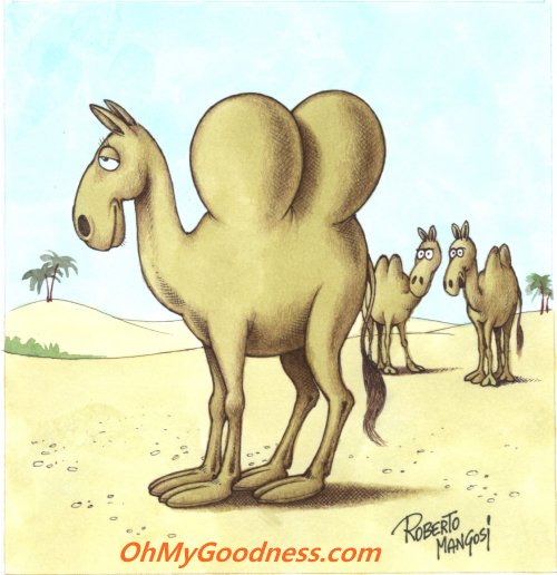 : Happy *silicon* Hump Day