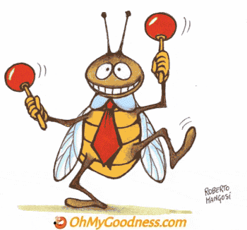 : Annoying insect...