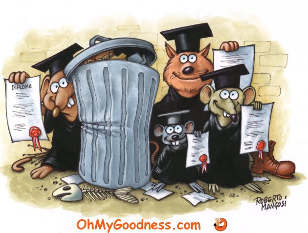 : Congrats on your Diploma