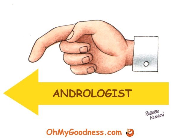 : Andrologo