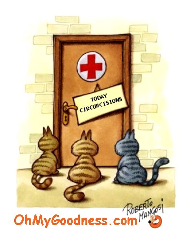 : Today Circumcisions