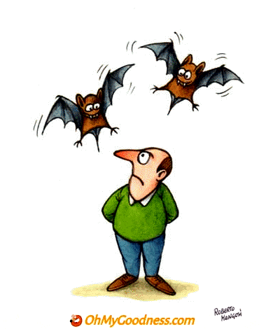: Fastidiosi pipistrelli