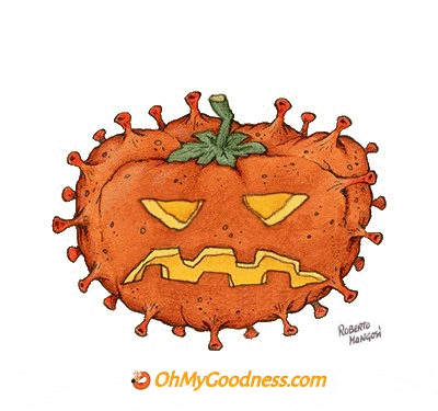 : Zucca Covid