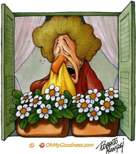 : Buongiorno Primavera!