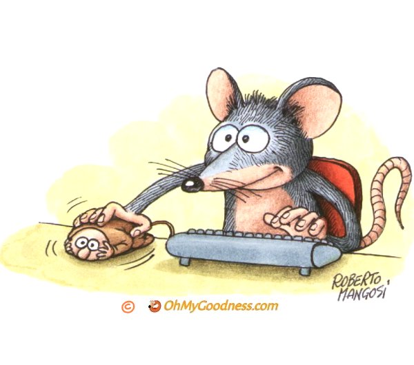 La rivincita del mouse