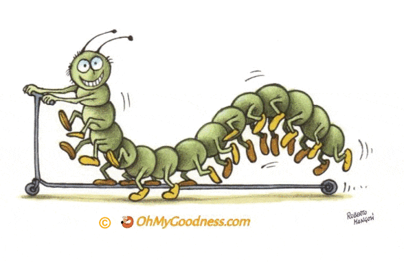 : Scooter Bug