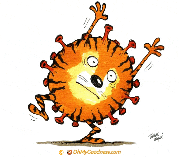 : Year of the Covid-Tiger...