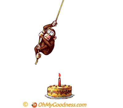 Buon compleanno, scimmietta!