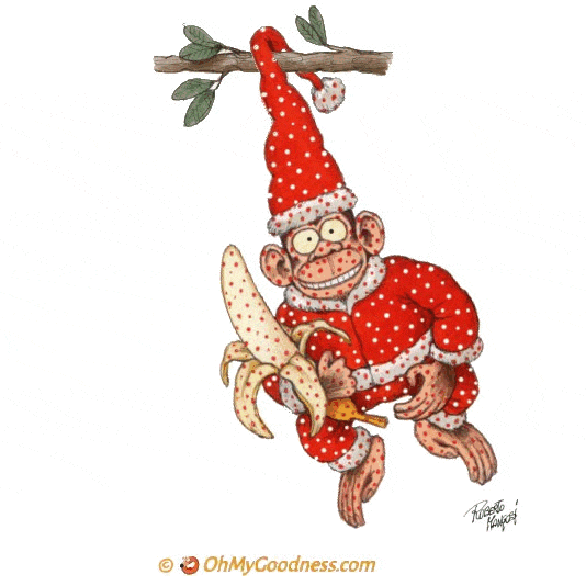 : Buon Natale col Vaiolo delle scimmie