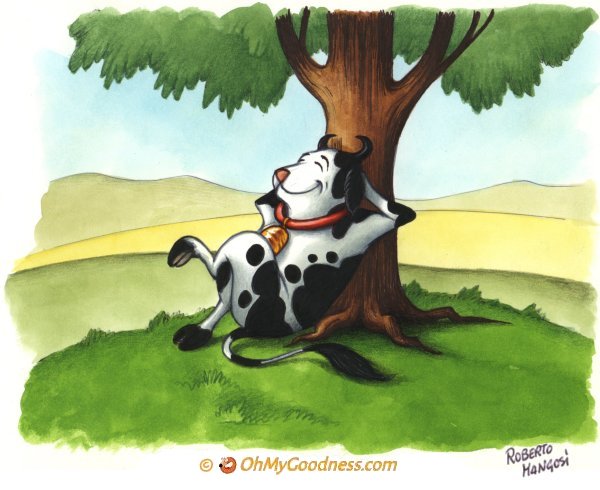 : I am feeling like a lazy cow today...