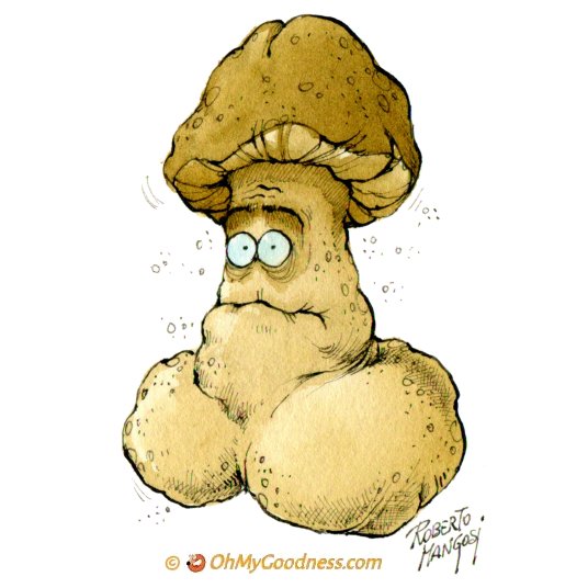 : Mushroom Season