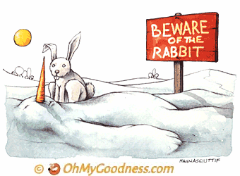 : beware of the rabbit