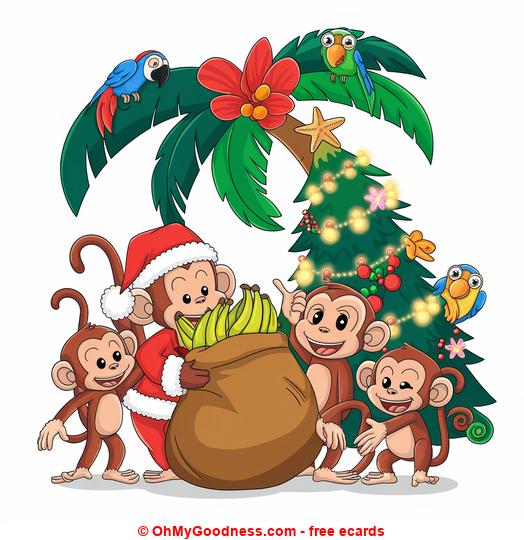 Navidad tropical