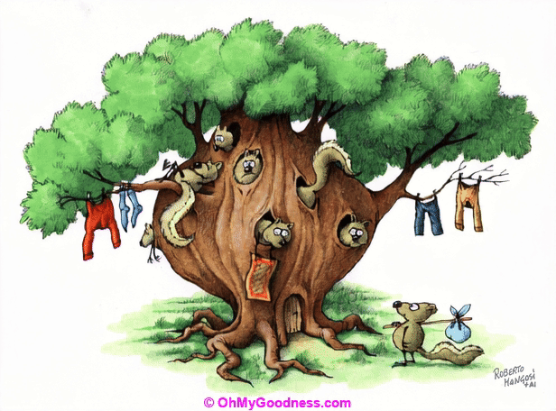 Our family tree has some real nuts!