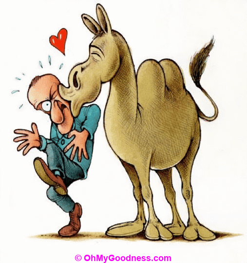 Have a lovely Hump Day