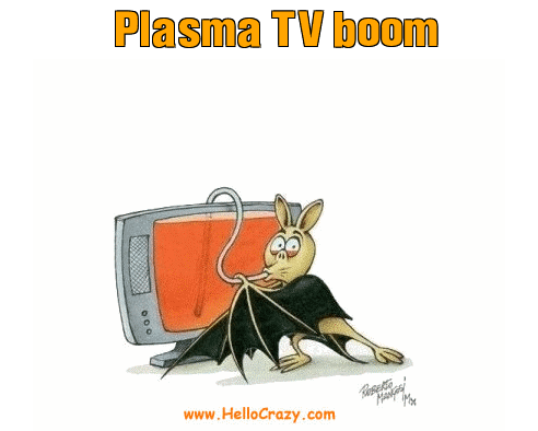 : Plasma TV boom