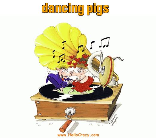 : dancing pigs
