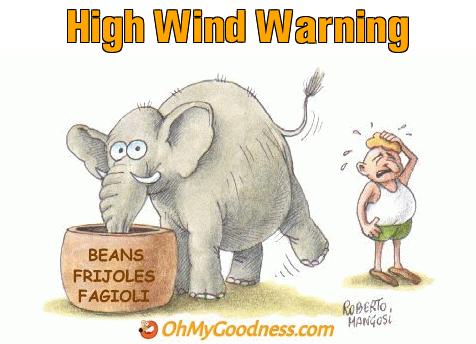 : High Wind Warning