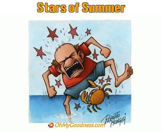 : Stars of Summer