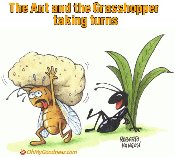 : The Ant and the Grasshopper taking turns