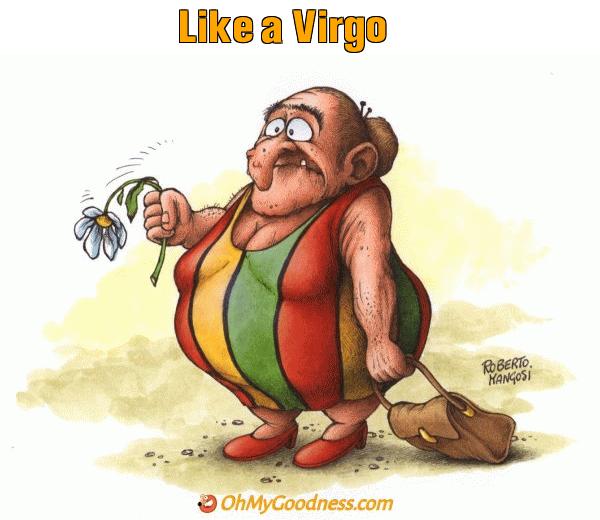 : Like a Virgo