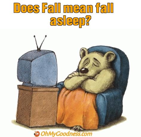 : Does Fall mean fall asleep?