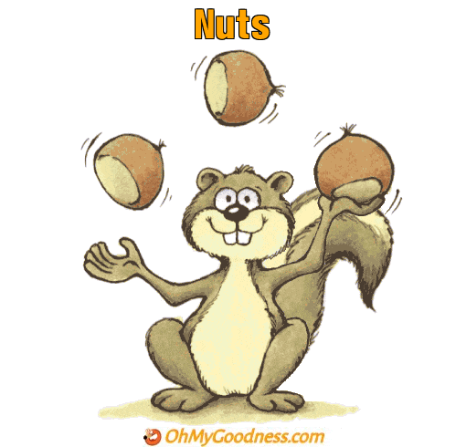 Squirrel Balls Gif