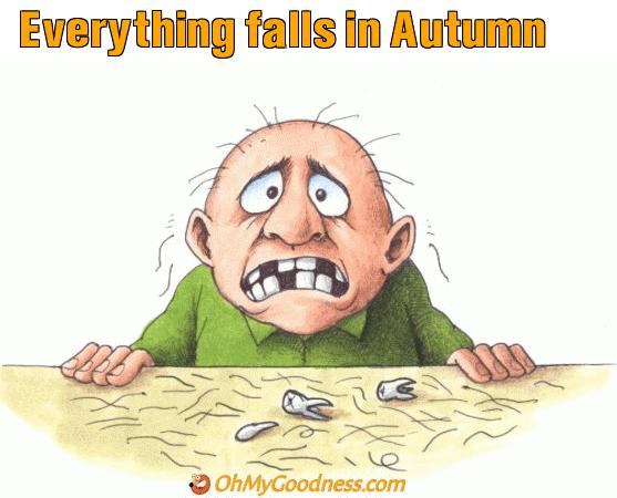 : Everything falls in Autumn