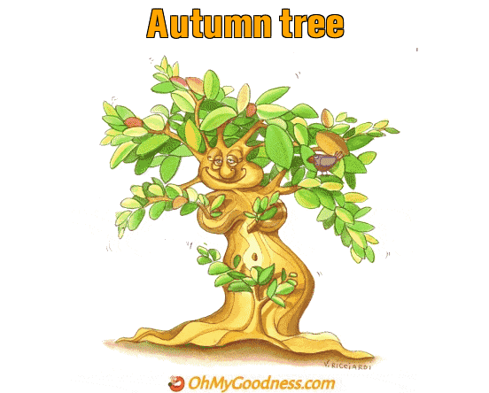 : Autumn tree