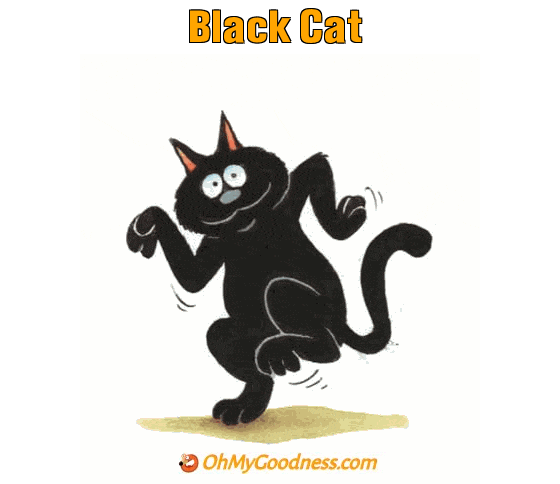 : Black Cat