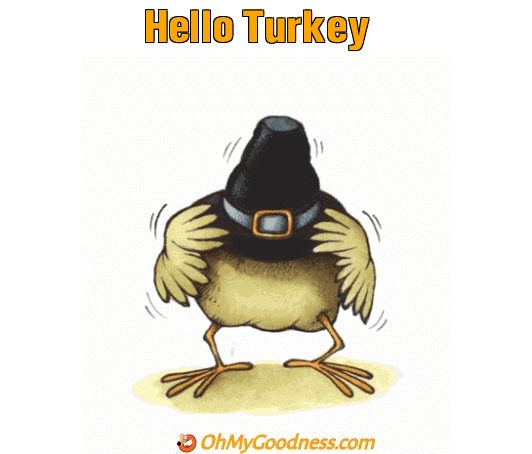 : Hello Turkey