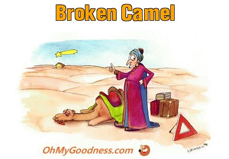 : Broken Camel