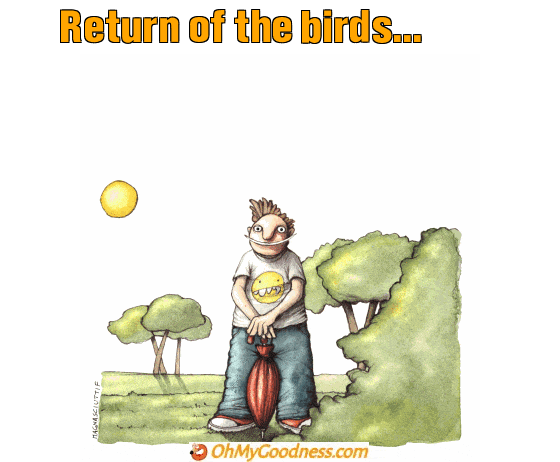 : Return of the birds...
