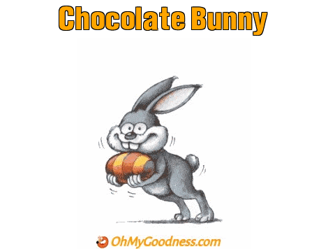 : Chocolate Bunny