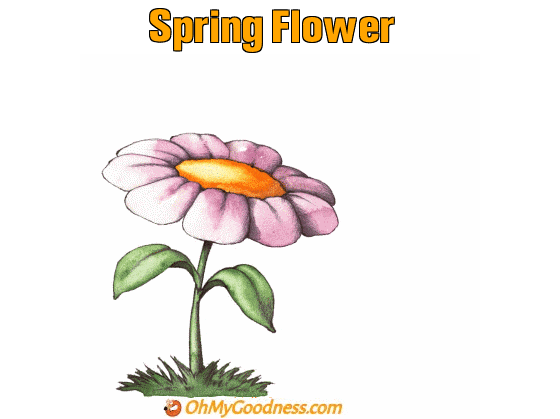 : Spring Flower