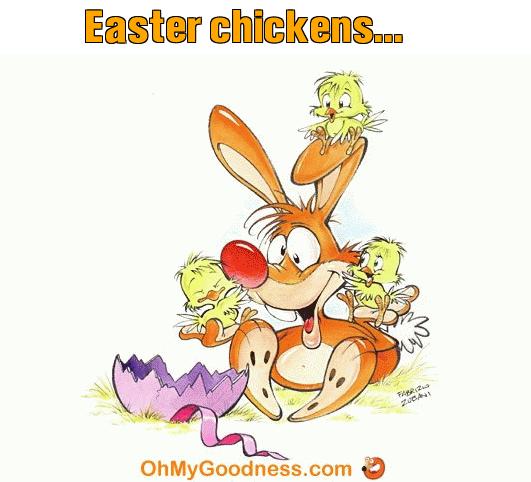 : Easter chickens...