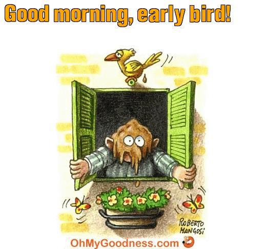 : Good morning, early bird!