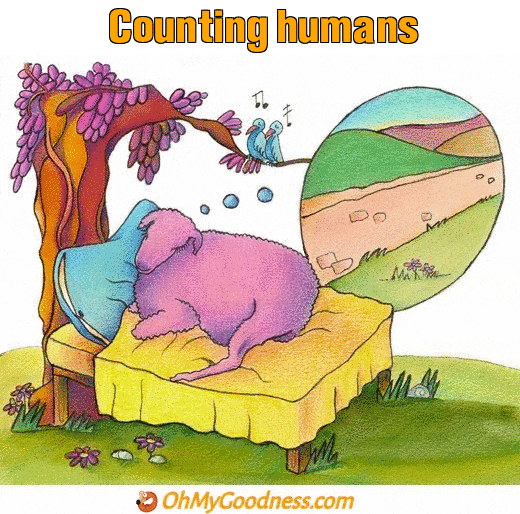 : Counting humans