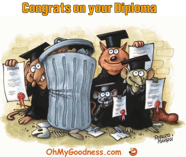 : Congrats on your Diploma