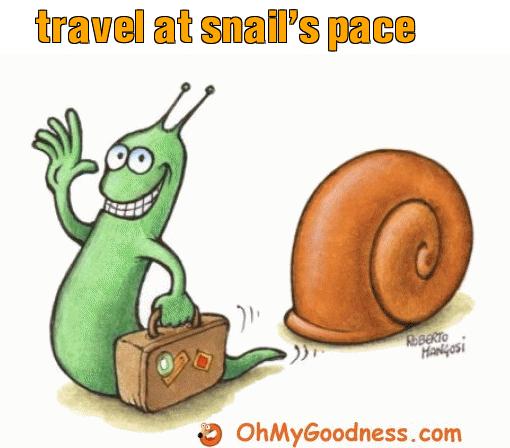 : travel at snail's pace