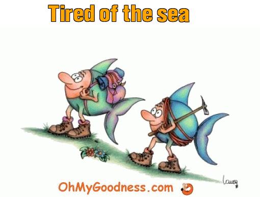 : Tired of the sea