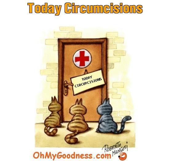 : Today Circumcisions
