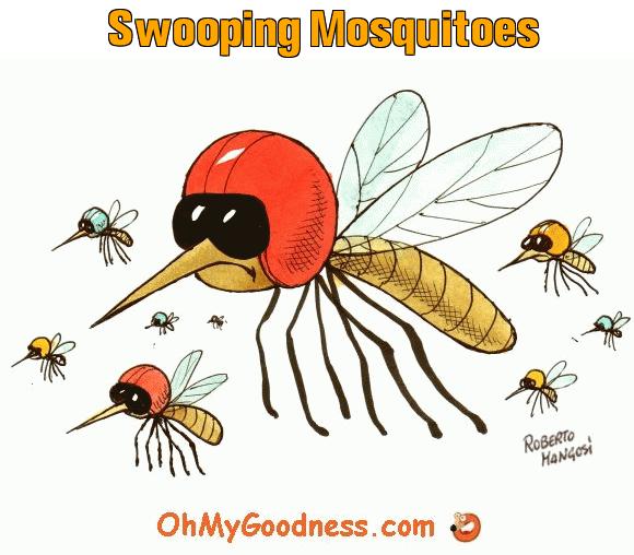 : Swooping Mosquitoes