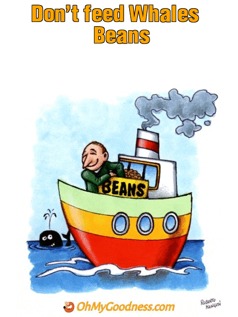 : Don't feed Whales Beans