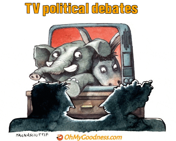 : TV political debates