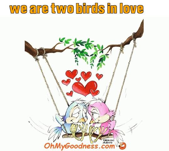 : we are two birds in love