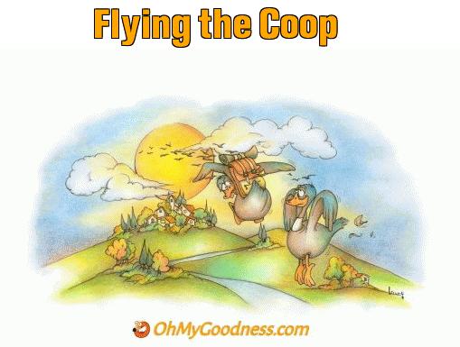 : Flying the Coop